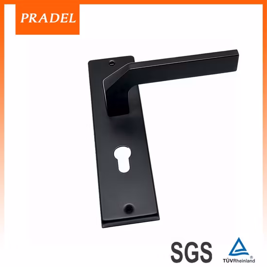 금 색깔 별장 건축 장식적인 기계설비 판을 가진 공상 문 손잡이